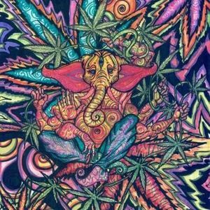 Meet your Posher, Corey